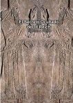 el-secreto-ocultado-del-iii-reich